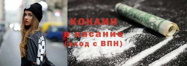 твердый Касимов