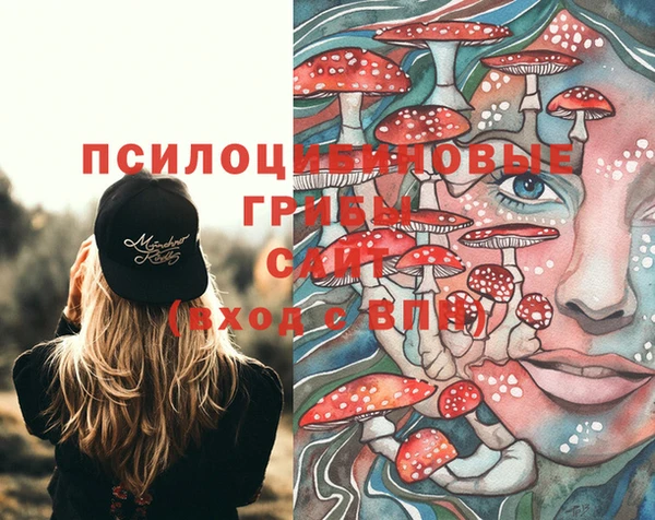 твердый Касимов