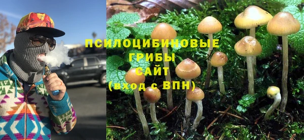 гидропоника Карпинск