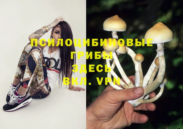 твердый Касимов