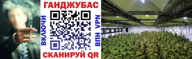 Шишки марихуана планчик  Купить где  Верхотурье 